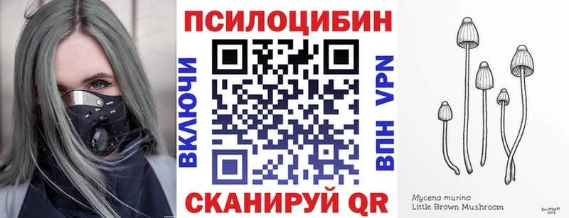 Псилоцибиновые грибы прущие грибы  Купить  Сасово 